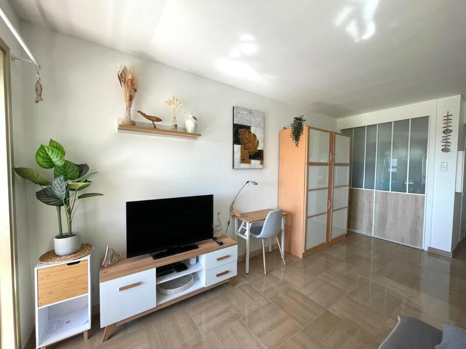 Studio Port Marina - Parking Prive, Climatise Au Ducal Villeneuve-Loubet Ngoại thất bức ảnh